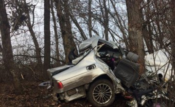 В Донецкой области в результате столкновения BMW с деревом погибло 2 человека