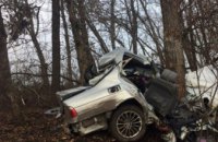 В Донецкой области в результате столкновения BMW с деревом погибло 2 человека