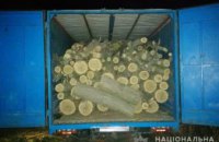 Полицейский офицер Магдалиновской ОТГ задержал грузовик, заполненный незаконно срубленными деревьями акации