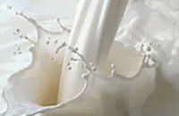 В Украине более 19% молочных продуктов не соответствуют требованиям нормативных документов 