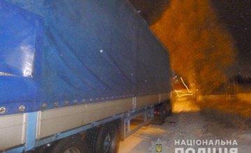 В Днепре группа преступников похитила бытовую химию из грузовика на 20 тыс. грн