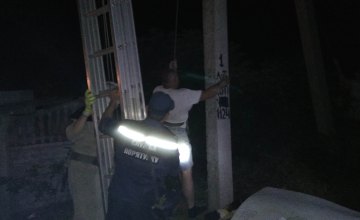 ​В Кировоградской области мужчина запутался в проводах на электроопоре
