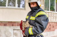 На Днепропетровщине сотрудники ГСЧС сняли кота с дерева (ФОТО)