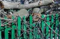 Активисты «Громадської сили» спилили все деревья по улице Академика Янгеля, 20