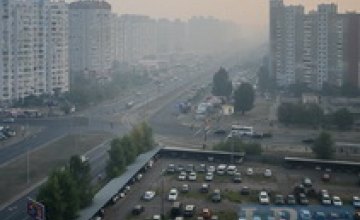 В Киеве из-за задымления, спровоцированного лесным пожаром, отменяют занятия в школах 