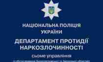 Полицейские у местного жителя Запорожья изъяли наркотики и оружие
