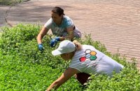 Покіс та заміщення: Дніпро продовжує боротьбу з алергенними рослинами 