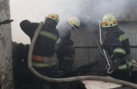 Сгорела хозпостройка, огонь перебросился на летнюю кухню: в Днепре ликвидировали пожар в частном доме