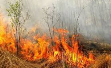 Спасатели бьют тревогу: пожары в экосистемах Днепропетровщины исчисляются тысячами