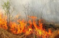 Спасатели бьют тревогу: пожары в экосистемах Днепропетровщины исчисляются тысячами