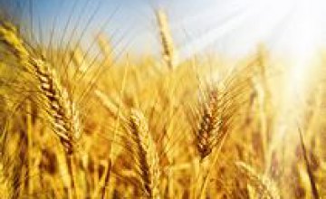 В Украине на экспорт было отправлено более 1 млн тонн зерна