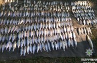 На Днепропетровщине полиция задержала браконьеров, незаконно выловивших рыбу на 17 тыс. грн