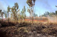 Под Днепром горела сухая трава на площади 1 га