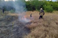 В Желтых Водах пожарные ликвидировали возгорание сухой травы