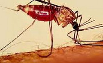 Сегодня отмечается Всемирный день борьбы с малярией