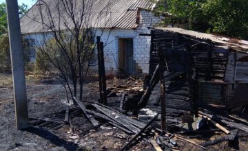 ​В Запорожской области в результате пожара пострадала 77-летняя женщина