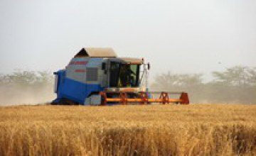 Кабмин планирует поднять цену на сельскохозяйственные земли на 70%
