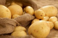 В 2018 году в Днепропетровской области собрали более полутысячи тонн картофеля