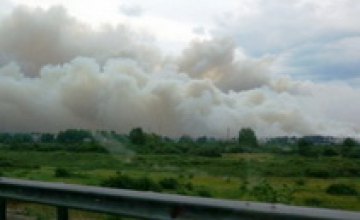 Под Днепропетровском из-за горящих торфяников перекрыли трассу на Царичанку
