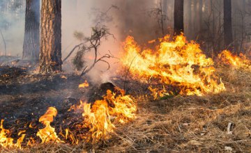 Цієї весни в екосистемах Дніпропетровщини сталося 620 пожеж