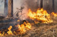 Цієї весни в екосистемах Дніпропетровщини сталося 620 пожеж