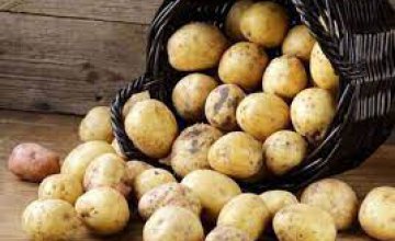 Экономический эксперт назвал причину резкого падения цены на картошку