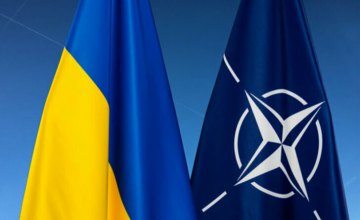 Петиція до НАТО про закриття неба над Україною від ракет: зібрати необхідно 1 млн голосів