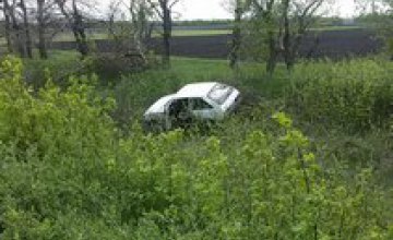 В Днепропетровской области 18-летний парень съехал в кювет на угнанном авто