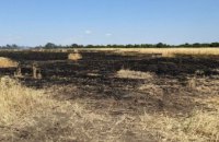Ворожий обстріл Криворізького району: загорілося поле з пшеницею  