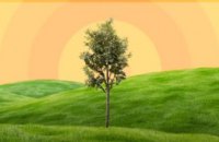 «Утро с Интером»: как деревья могут остановить глобальное потепление?