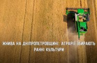 На Дніпропетровщині зібрали перший врожай ячменю та гороху