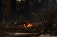 Понад 180 займань сталося в екосистемах Дніпропетровщини від початку квітня