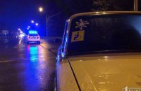 На Днепропетровщине автомобиль сбил  женщину с 2 детьми(ФОТО) 