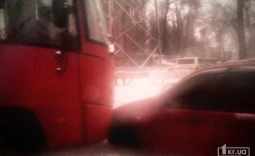 ​В Днепропетровской области столкнулись автобус с легковушкой 