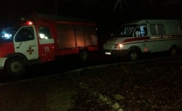 В Днепропетровской области на пожаре в своем доме погиб пенсионер