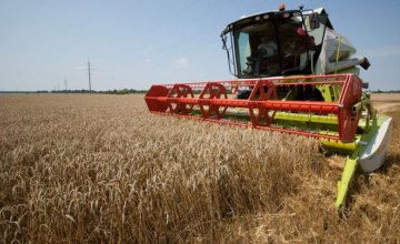 На Днепропетровщине собрали лучший за последние годы урожай ранних зерновых