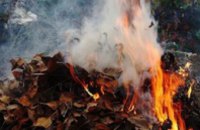 Экологи предупреждают: сжигать листья строго запрещено