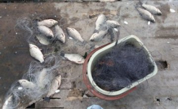 За выходные Днепропетровский рыбоохранный патруль изъял более  30 кг водных биоресурсо