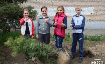 Ученики высадили более 20 сосен на территории гимназии №37 в рамках программы «Социальная реконструкция» Геннадия Гуфмана(ВИДЕО)