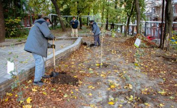 Дніпро-квітучий: понад 5000 молодих дерев висадять на прибудинкових територіях житлових будинків