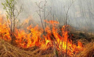 В Украине усилили ответственность за поджог сухой травы