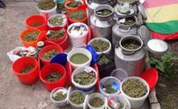 В Днепродзержинске у местного жителя нашли 200 кг элитной марихуаны