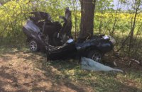 ​Смертельное ДТП на Днепропетровщине: водитель врезался в дерево 
