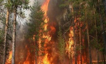 За прошлую неделю в экосистемах Днепропетровщины произошло почти 300 пожаров