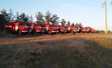 В Херсонской области продолжается ликвидация масштабного лесного пожара (ФОТО)