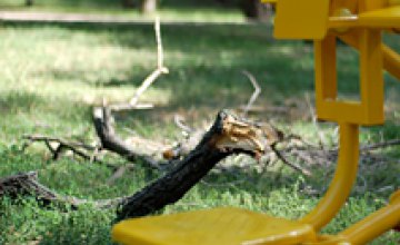 Завтра на территории новой детской площадки в парке Глобы власти спилят аварийные деревья