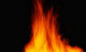 В Днепропетровской области на пожаре погибла семья