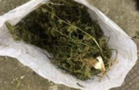 У ранее судимого жителя Запорожской области изъяли более 1,5 кг «марихуаны»
