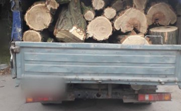 На Днепропетровщине обнаружили грузовик с незаконно срубленной древесиной (ФОТО)