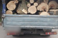 На Днепропетровщине обнаружили грузовик с незаконно срубленной древесиной (ФОТО)